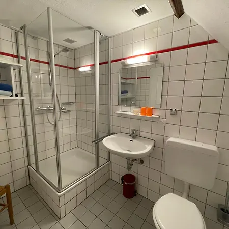 Ferme Du Moulin Des Sept Fontaines Drachenbronn-Birlenbach