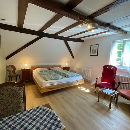 Ferme Du Moulin Des Sept Fontaines Drachenbronn-Birlenbach